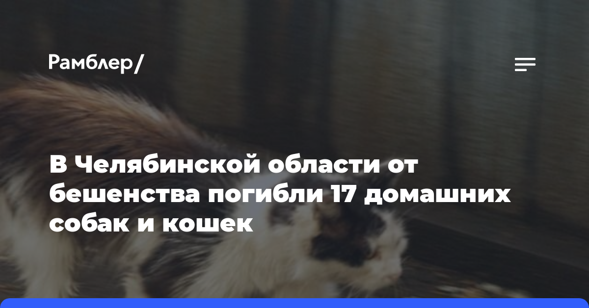 В Челябинской области от бешенства погибли 17 домашних собак и кошек