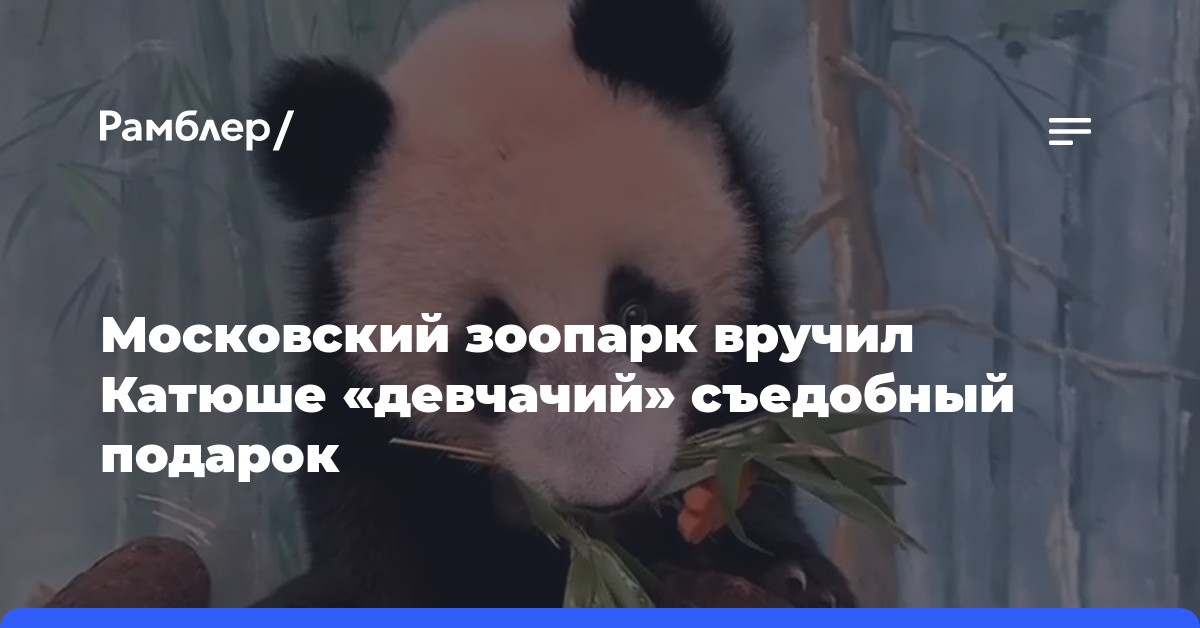 «Для принцессы»: Московский зоопарк вручил Катюше «девчачий» съедобный подарок