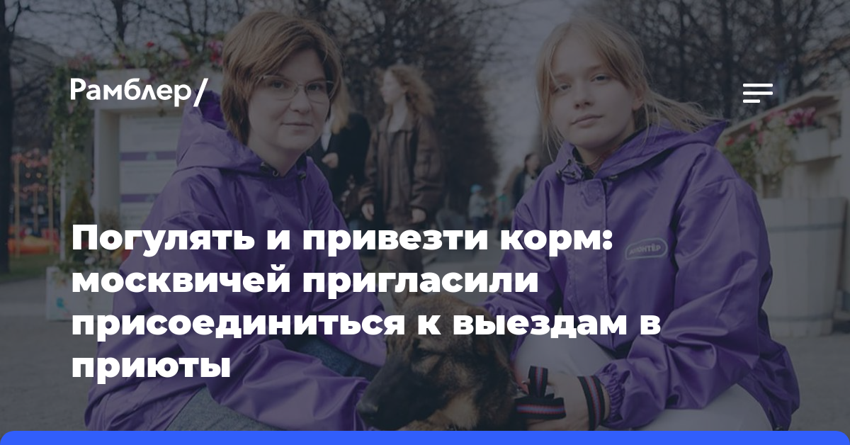 Погулять и привезти корм: москвичей пригласили присоединиться к выездам в приюты