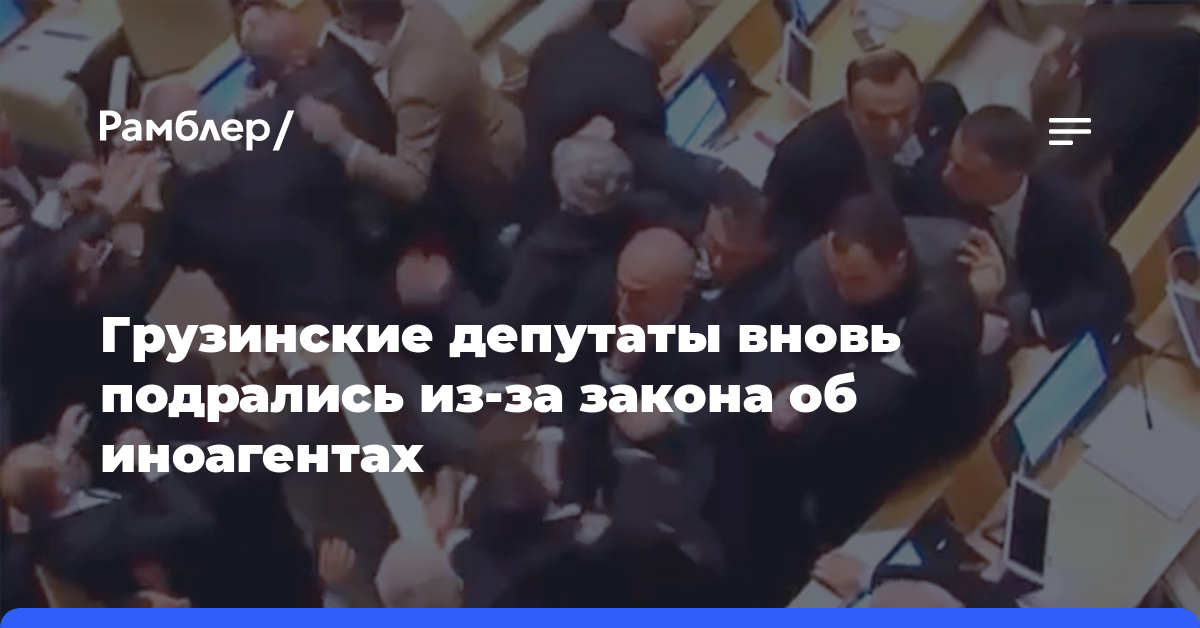 Грузинские депутаты вновь подрались из-за закона об иноагентах