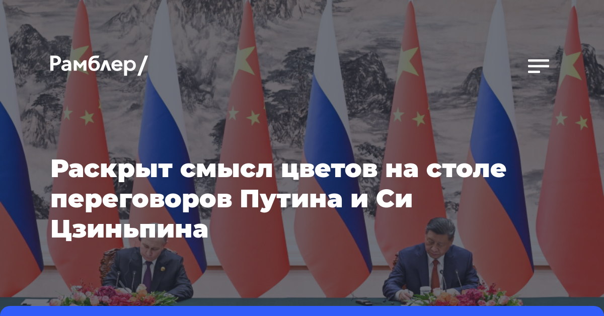 Раскрыт смысл цветов на столе переговоров Путина и Си Цзиньпина