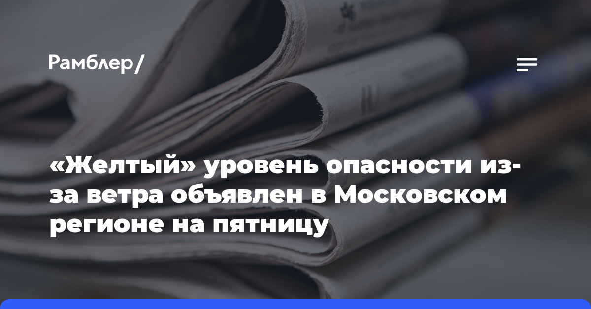 «Желтый» уровень опасности из-за ветра объявлен в Московском регионе на пятницу