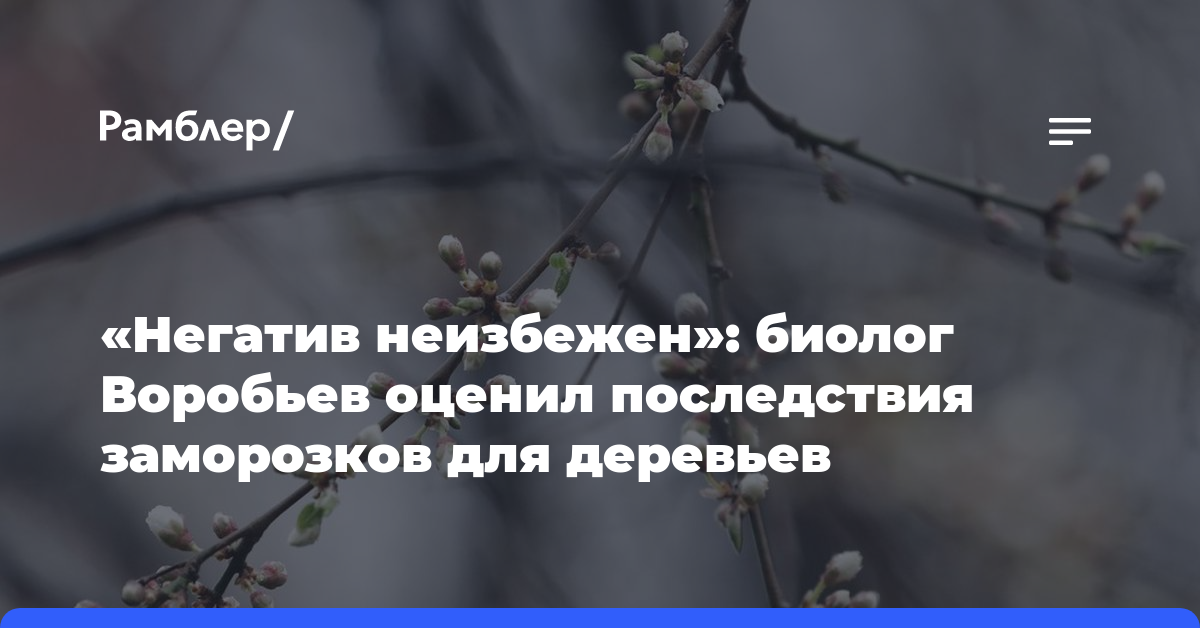 «Негатив неизбежен»: биолог Воробьев оценил последствия заморозков для деревьев