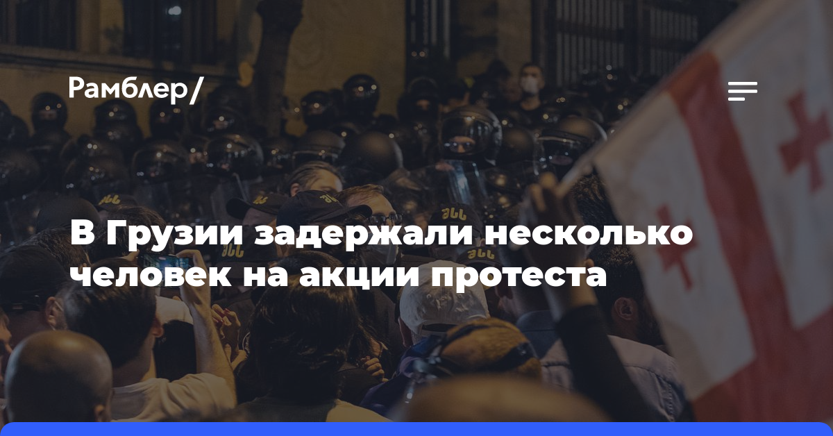 В Грузии задержали несколько человек на акции протеста