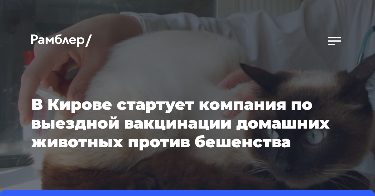 В Кирове стартует компания по выездной вакцинации домашних животных против бешенства