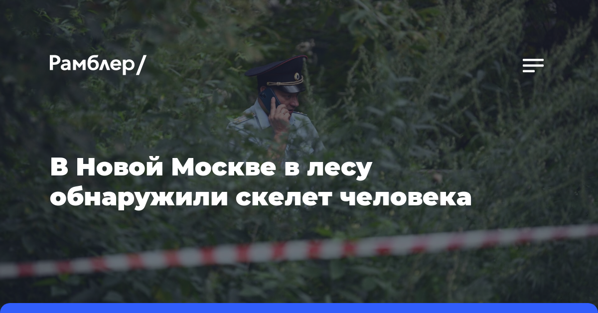В Новой Москве в лесу обнаружили скелет человека