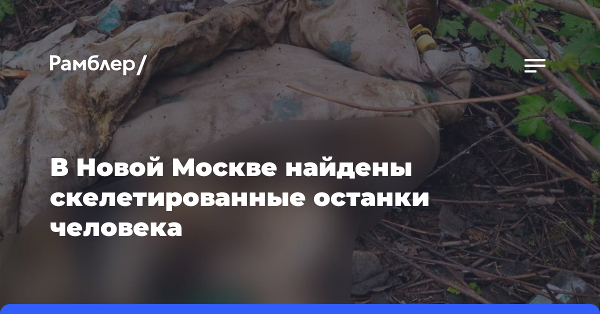 В Новой Москве найдены скелетированные останки человека