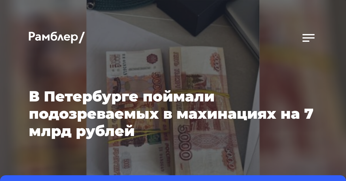 Нелегальных банкиров задержали за махинации на 7 млрд рублей в Петербурге