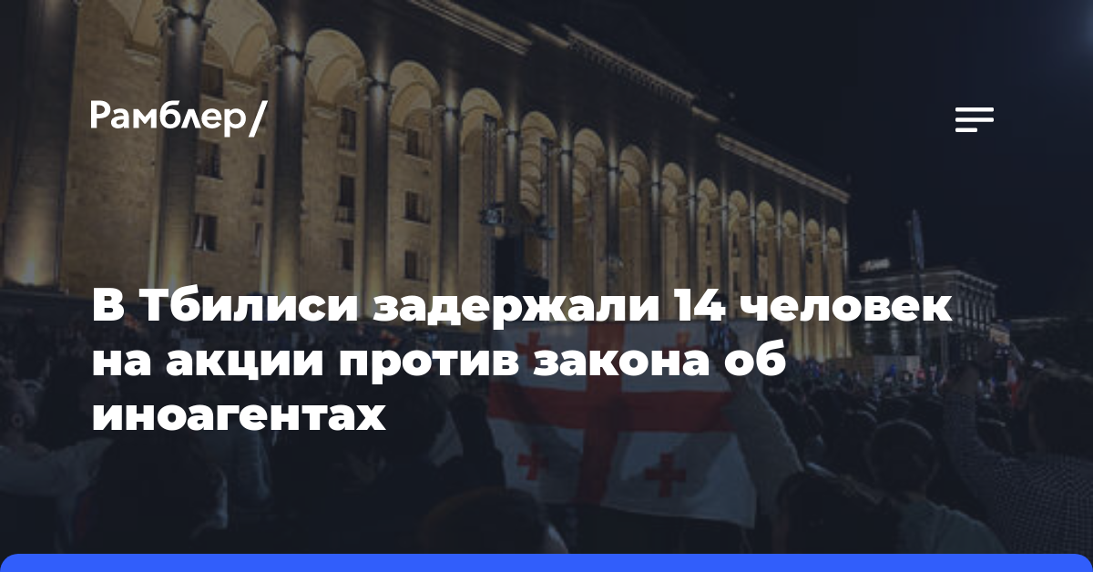 В Тбилиси задержали 14 человек на акции против закона об иноагентах
