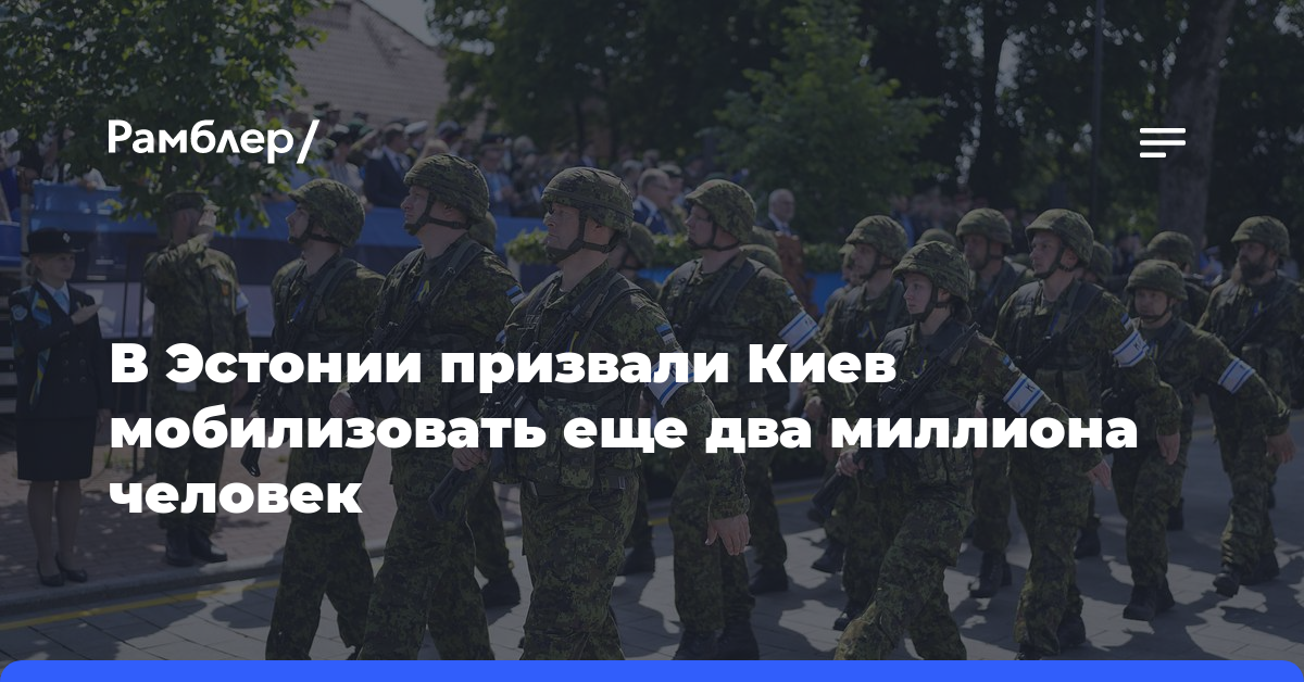 В Эстонии призвали Киев мобилизовать еще два миллиона человек