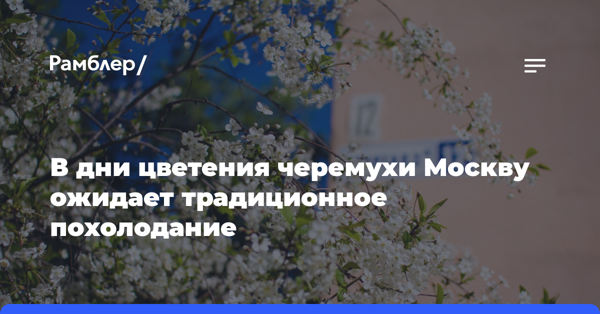 В дни цветения черемухи Москву ожидает традиционное похолодание