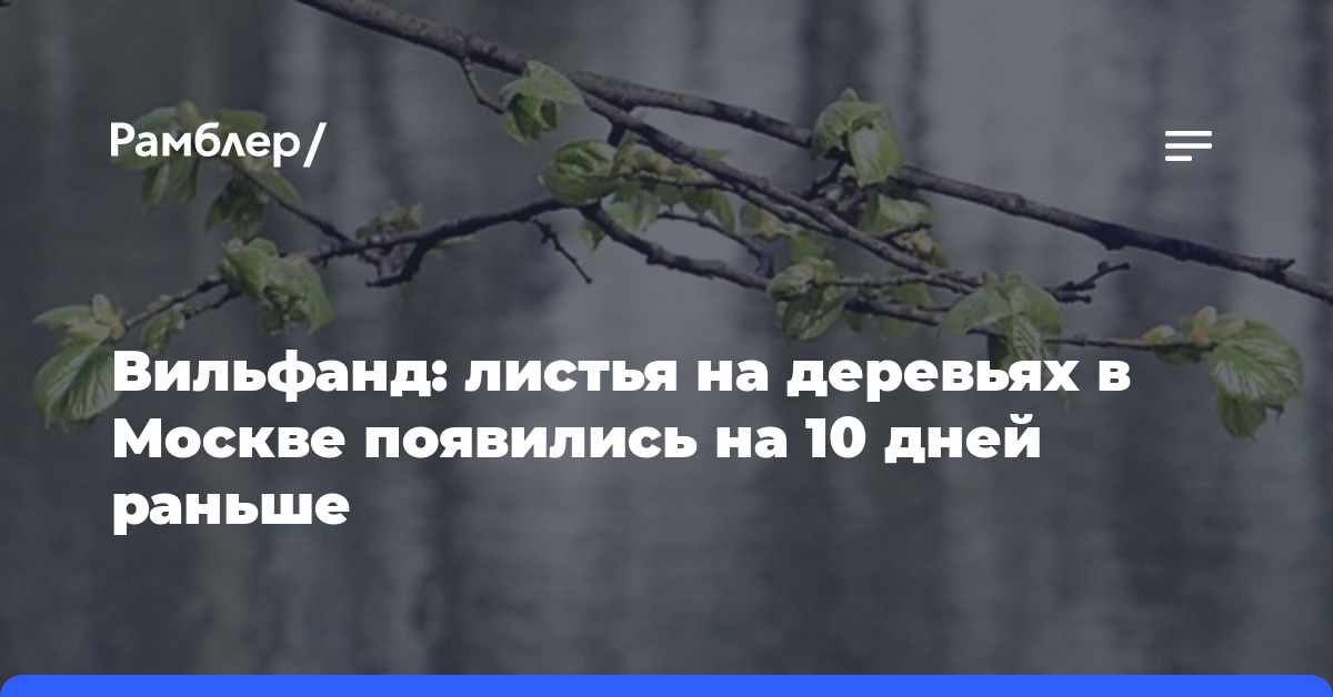 Вильфанд: листья на деревьях в Москве появились на 10 дней раньше
