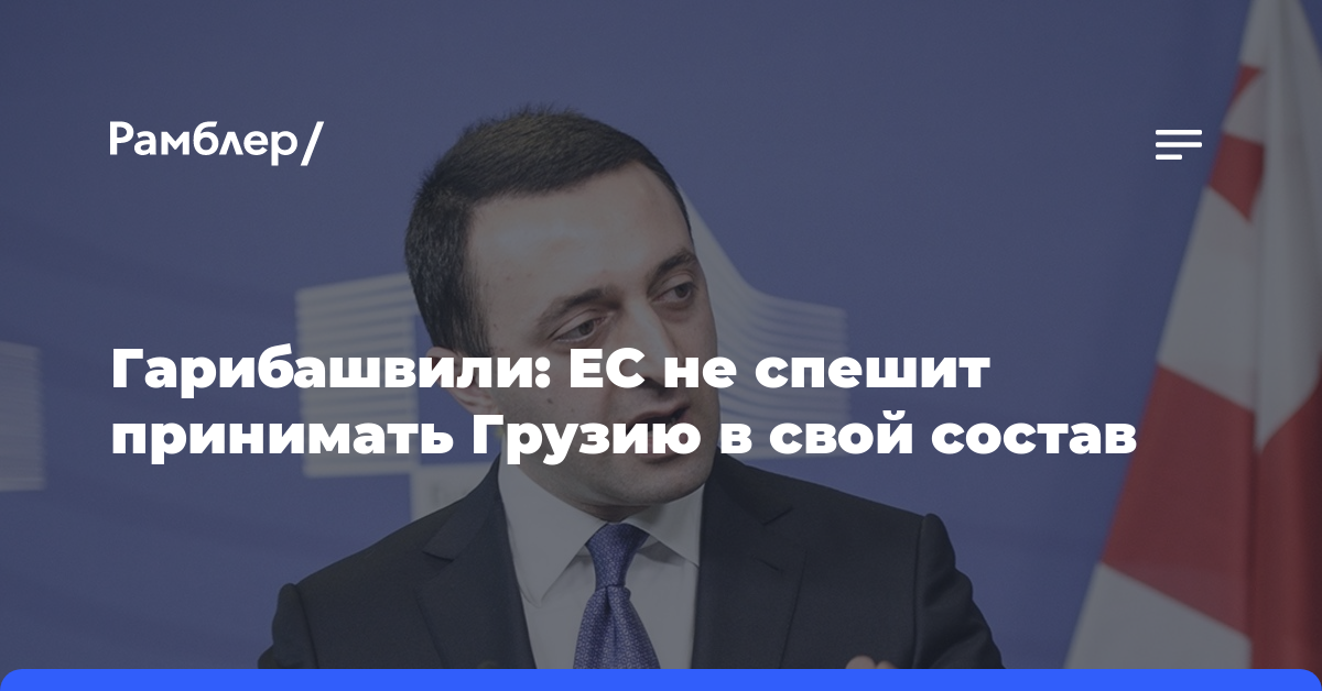 Гарибашвили: ЕС не спешит принимать Грузию в свой состав