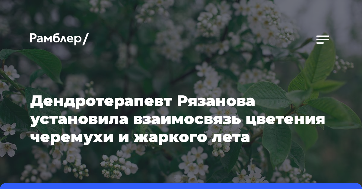 Дендротерапевт Рязанова установила взаимосвязь цветения черемухи и жаркого лета