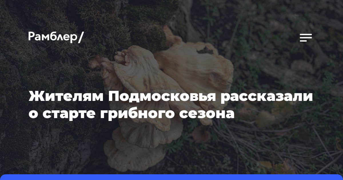 Жителям Подмосковья рассказали о старте грибного сезона