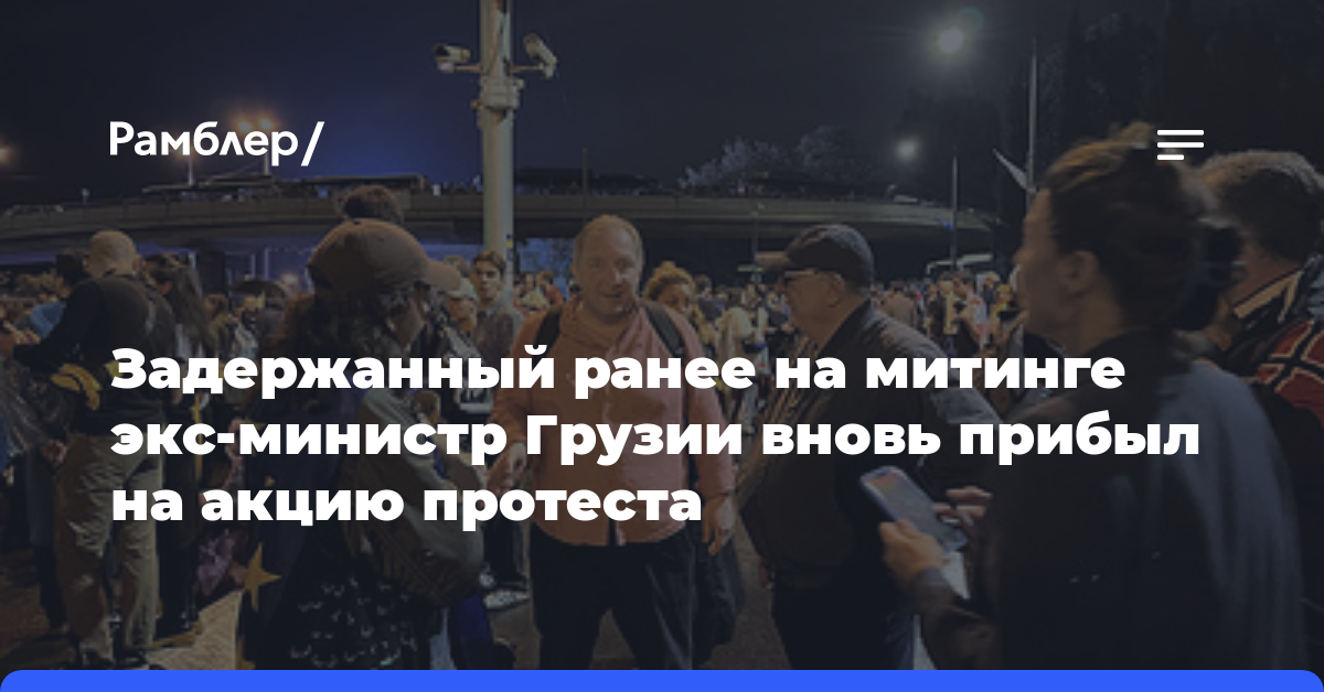 Задержанный ранее на митинге экс-министр Грузии вновь прибыл на акцию протеста