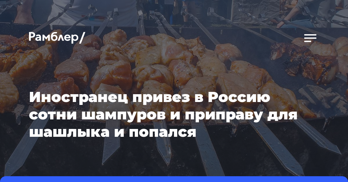 Иностранец привез в Россию сотни шампуров и приправу для шашлыка и попался