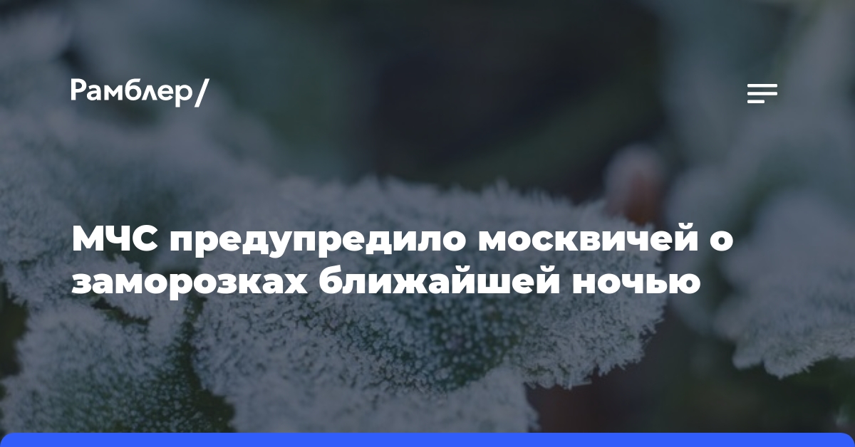 МЧС предупредило москвичей о заморозках ближайшей ночью
