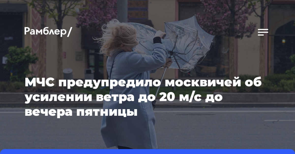 МЧС предупредило москвичей об усилении ветра до 20 м/с до вечера пятницы