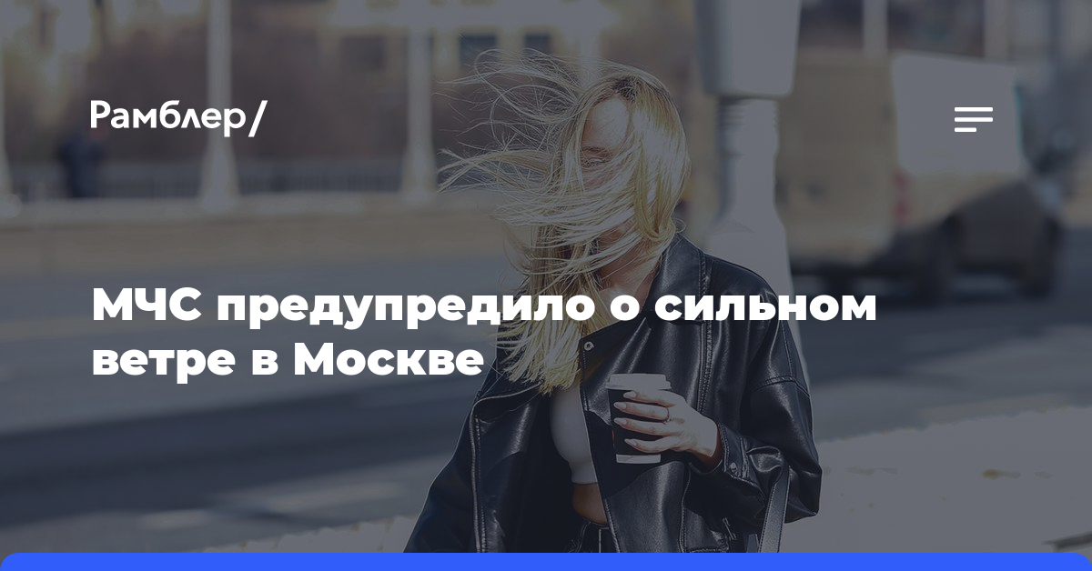 МЧС предупредило о сильном ветре в Москве