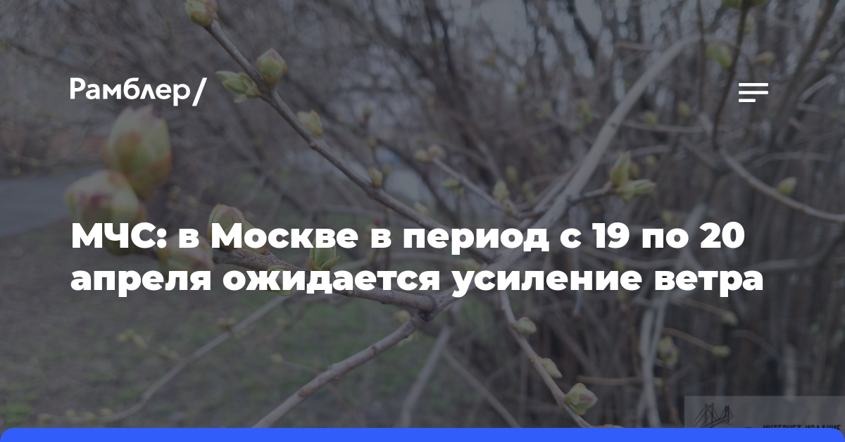 МЧС: в Москве в период с 19 по 20 апреля ожидается усиление ветра