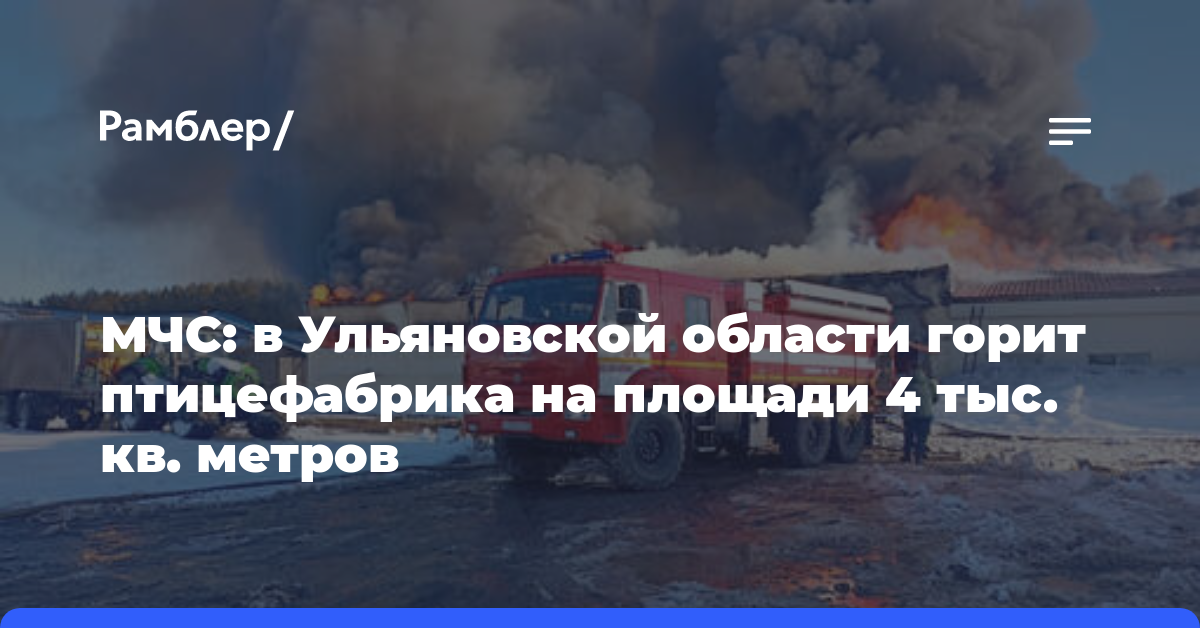 МЧС: в Ульяновской области горит птицефабрика на площади 4 тыс. кв. метров