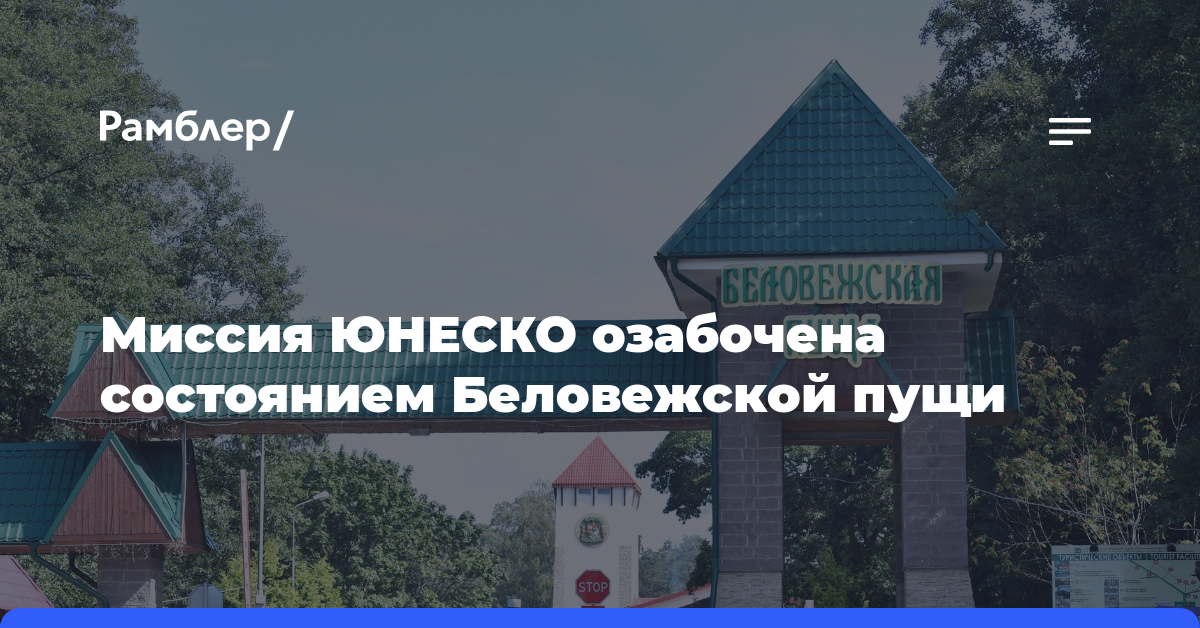 Минск: Миссия ЮНЕСКО озабочена состоянием Беловежской пущи