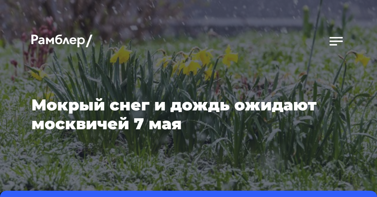 Мокрый снег и дождь ожидают москвичей 7 мая