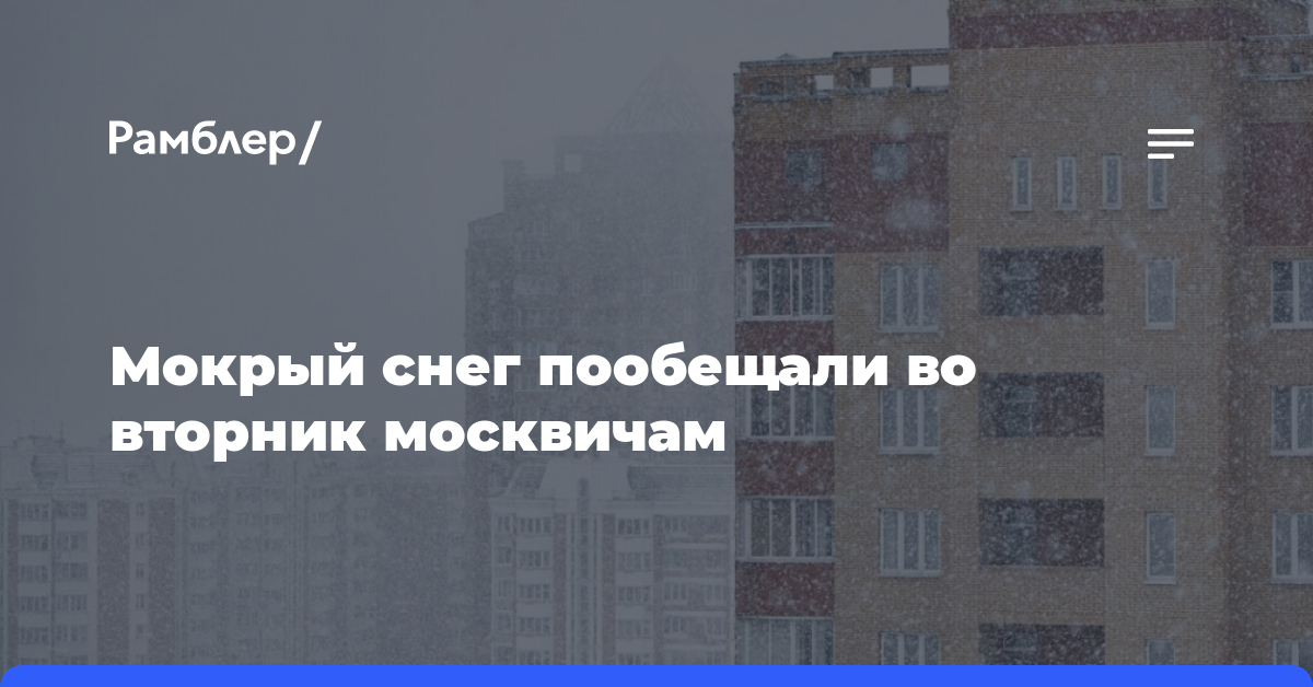 Мокрый снег пообещали во вторник москвичам