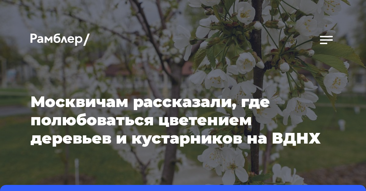Москвичам рассказали, где полюбоваться цветением деревьев и кустарников на ВДНХ