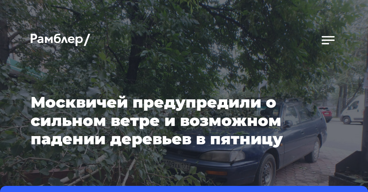 Москвичей предупредили о сильном ветре и возможном падении деревьев в пятницу