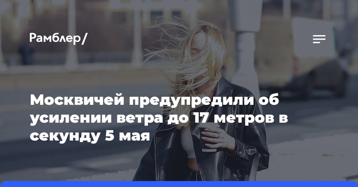 Москвичей предупредили об усилении ветра до 17 метров в секунду 5 мая