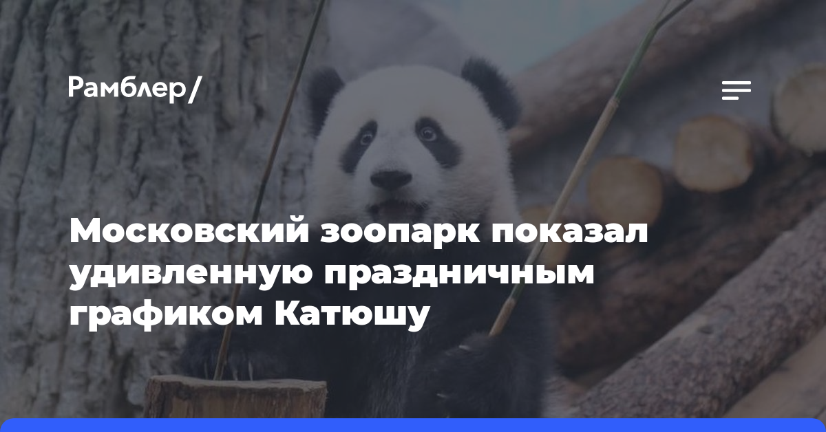 «Тоже рабочий»: Московский зоопарк показал удивленную праздничным графиком Катюшу