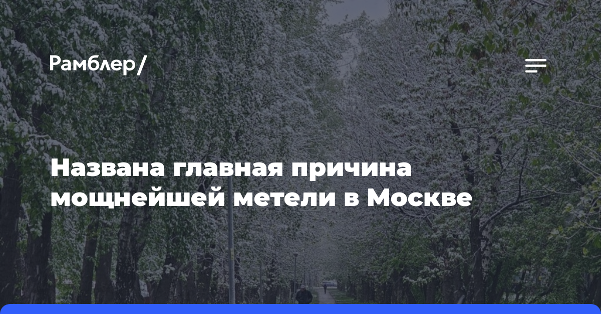 Синоптик назвала главную причину мощнейшей метели в Москве 8 мая