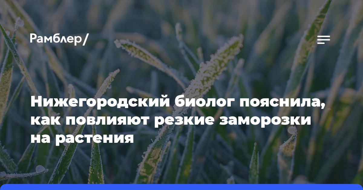Нижегородский биолог пояснила, как повлияют резкие заморозки на растения