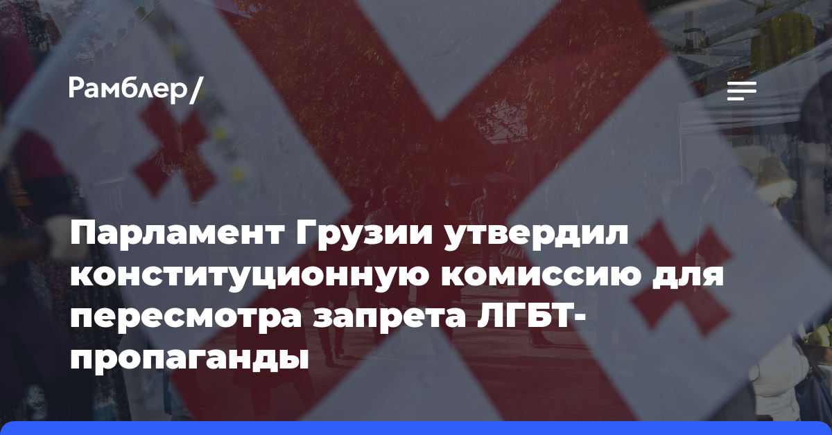 Парламент Грузии утвердил конституционную комиссию для пересмотра запрета ЛГБТ-пропаганды