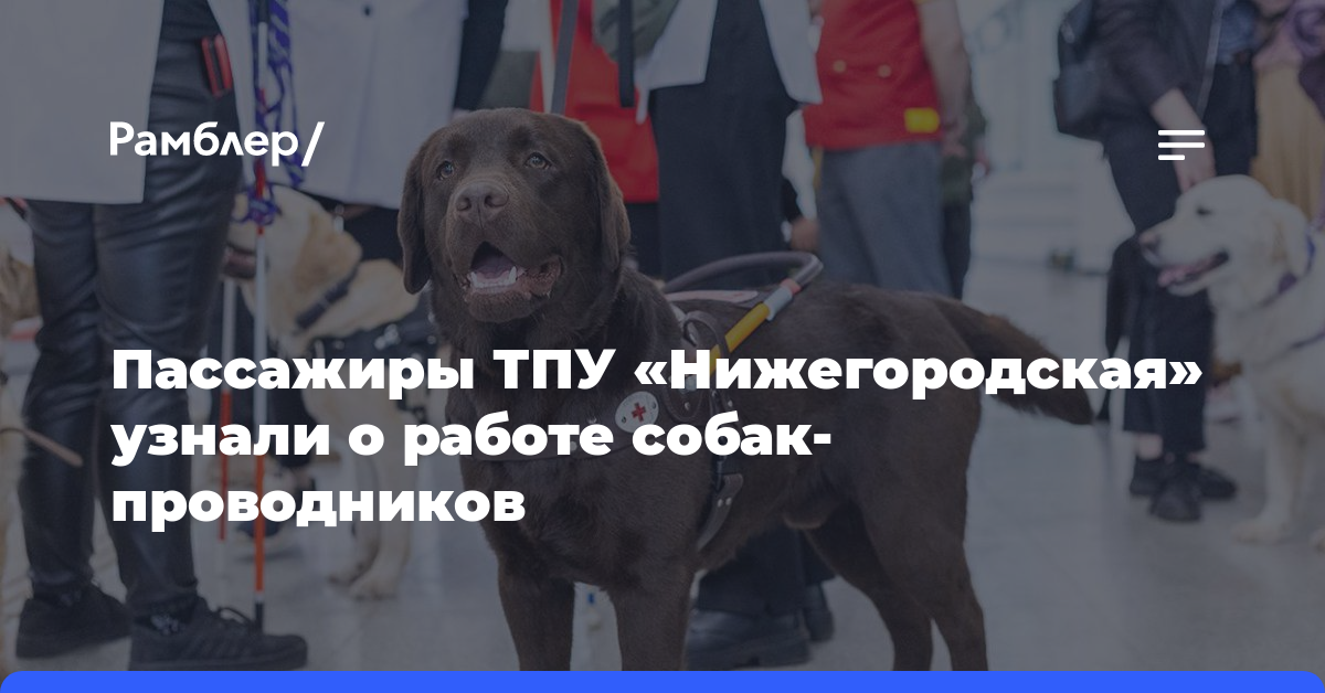 Пассажиры ТПУ «Нижегородская» узнали о работе собак-проводников