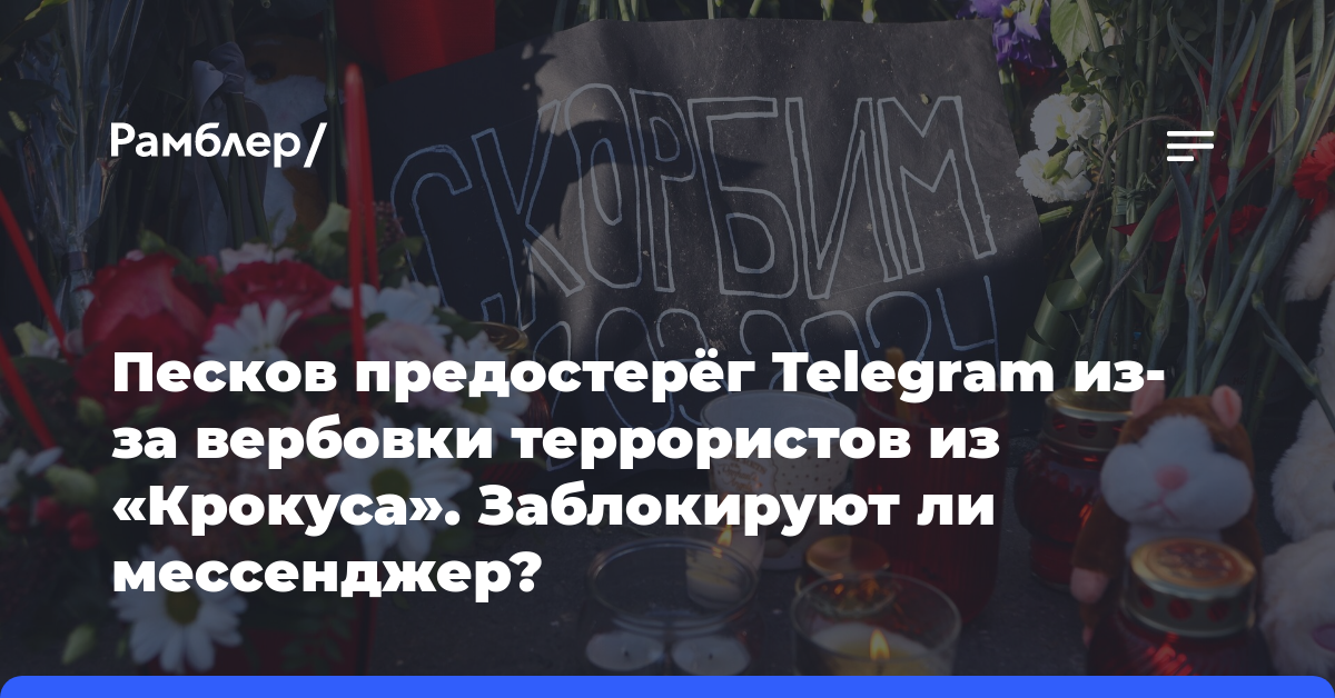Песков предостерёг Telegram из-за вербовки террористов из «Крокуса». Заблокируют ли мессенджер?