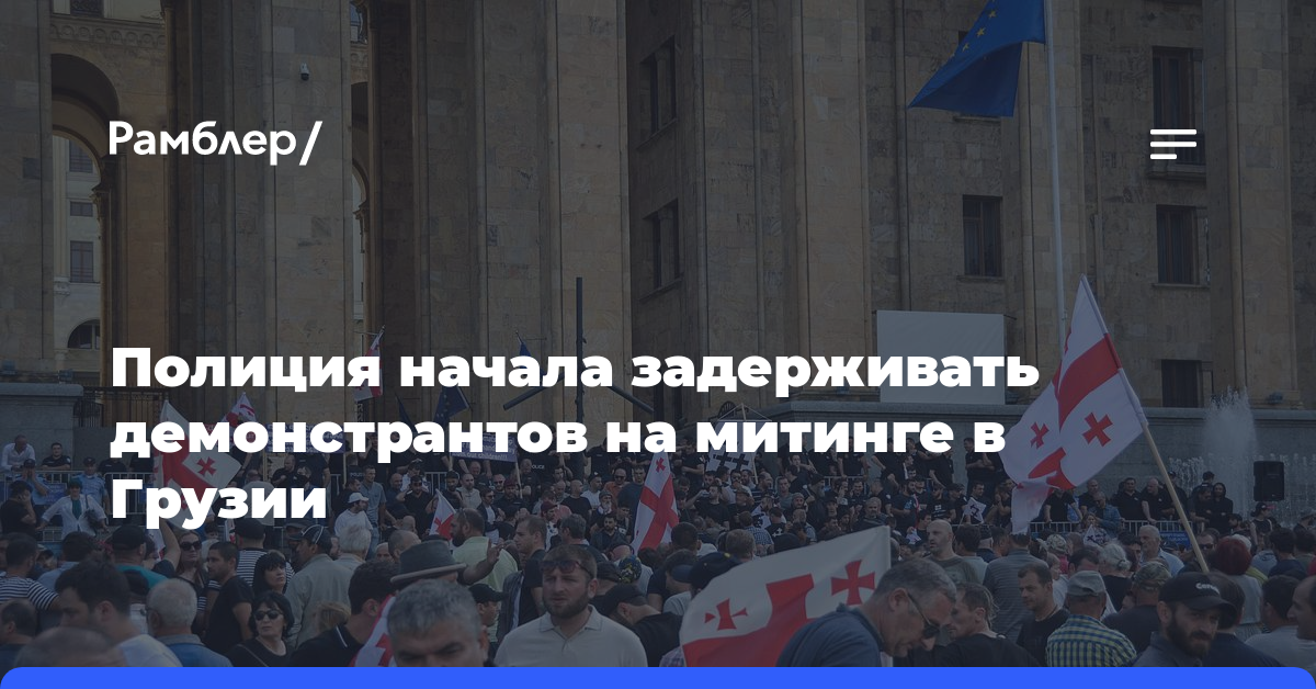 Полиция начала задерживать демонстрантов на митинге в Грузии