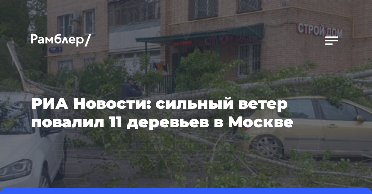 РИА Новости: сильный ветер повалил 11 деревьев в Москве