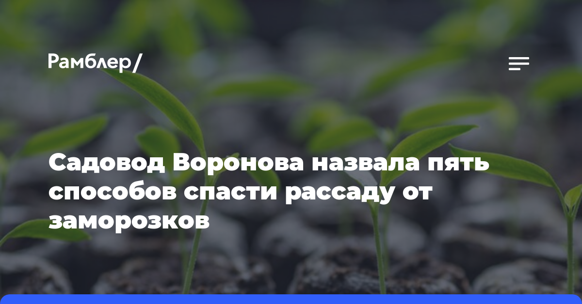 Садовод Воронова назвала пять способов спасти рассаду от заморозков