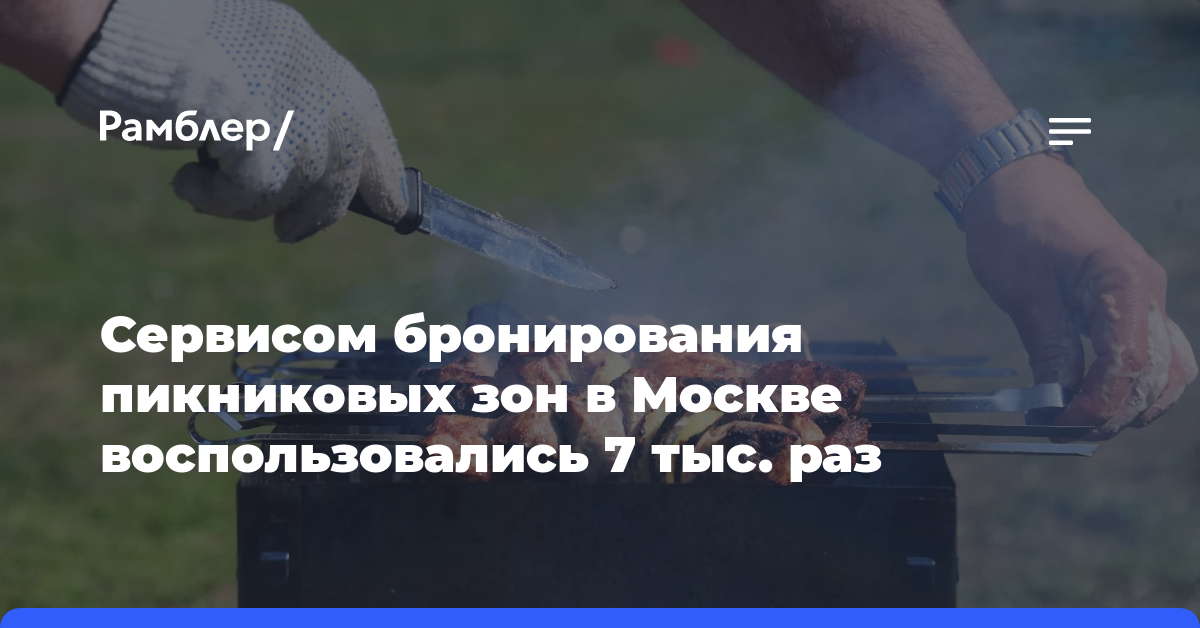 Сервисом бронирования пикниковых зон в парках Москвы воспользовались около 7 тыс. раз