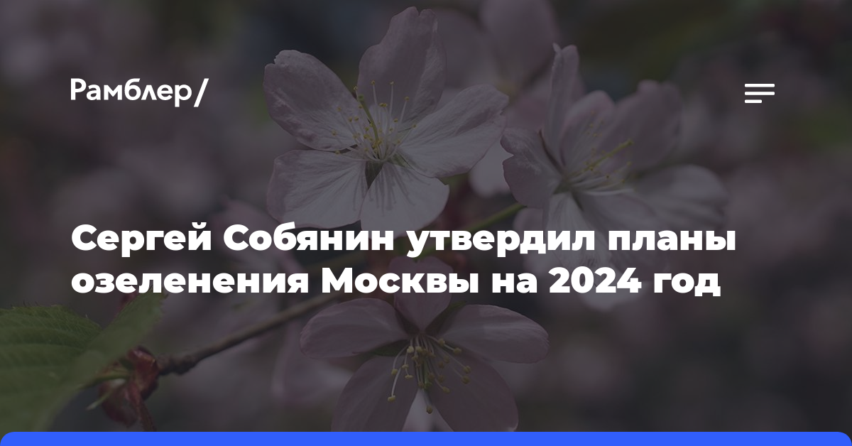 Сергей Собянин утвердил планы озеленения Москвы на 2024 год