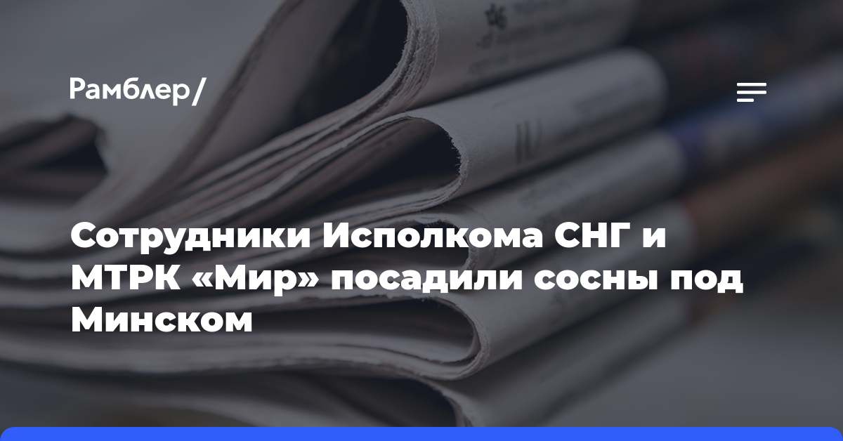 Сотрудники Исполкома СНГ и МТРК «Мир» посадили сосны под Минском