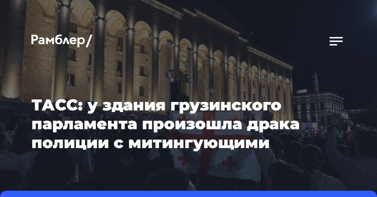 ТАСС: у здания грузинского парламента произошла драка полиции с митингующими