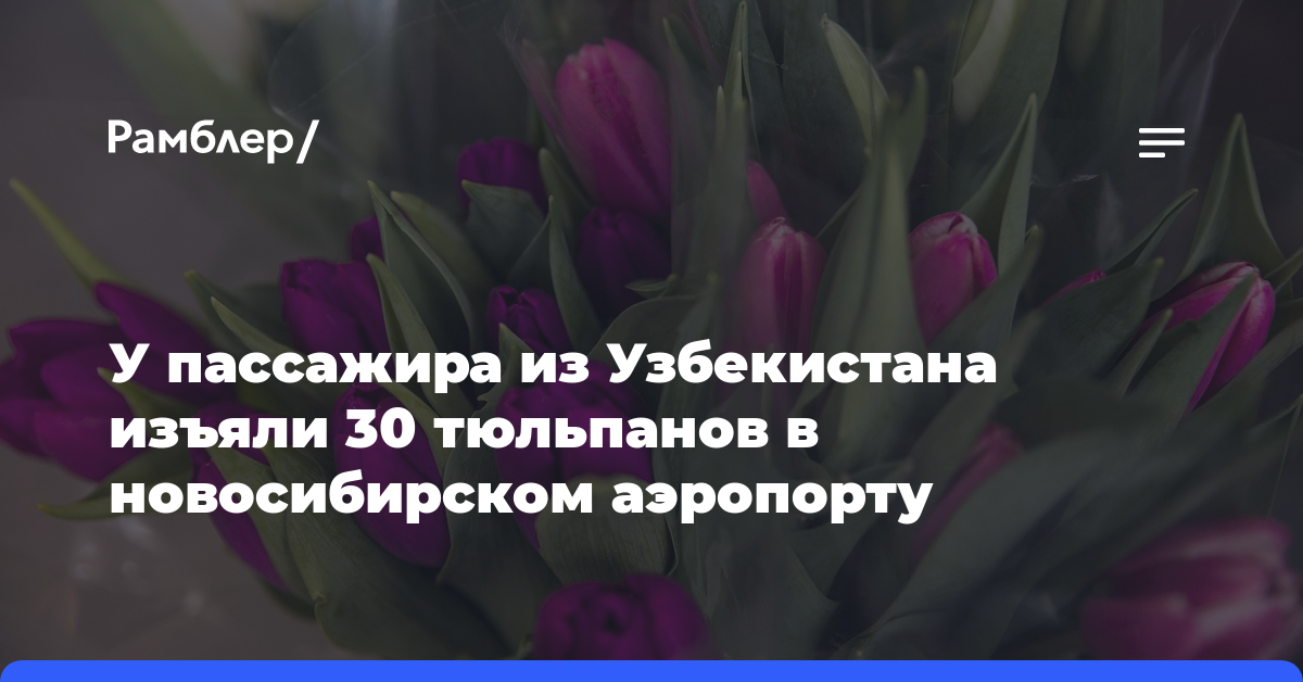 У пассажира из Узбекистана изъяли 30 тюльпанов в новосибирском аэропорту