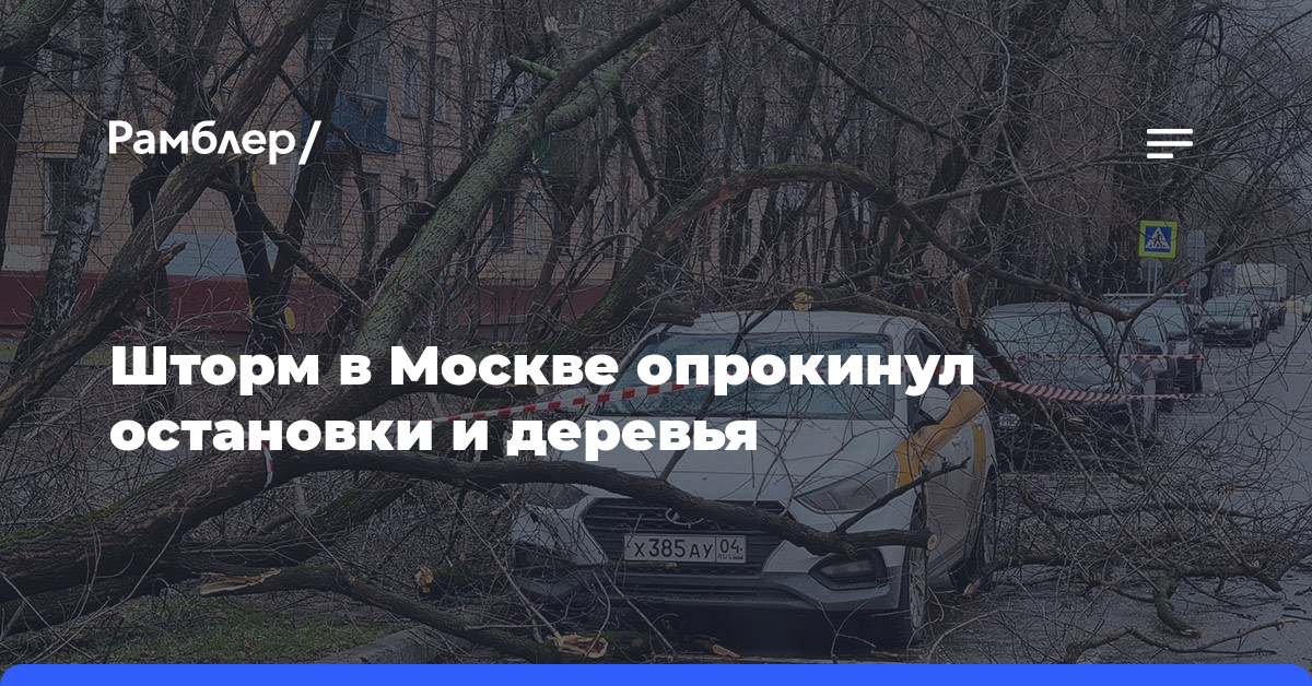 Шторм в Москве опрокинул остановки и деревья