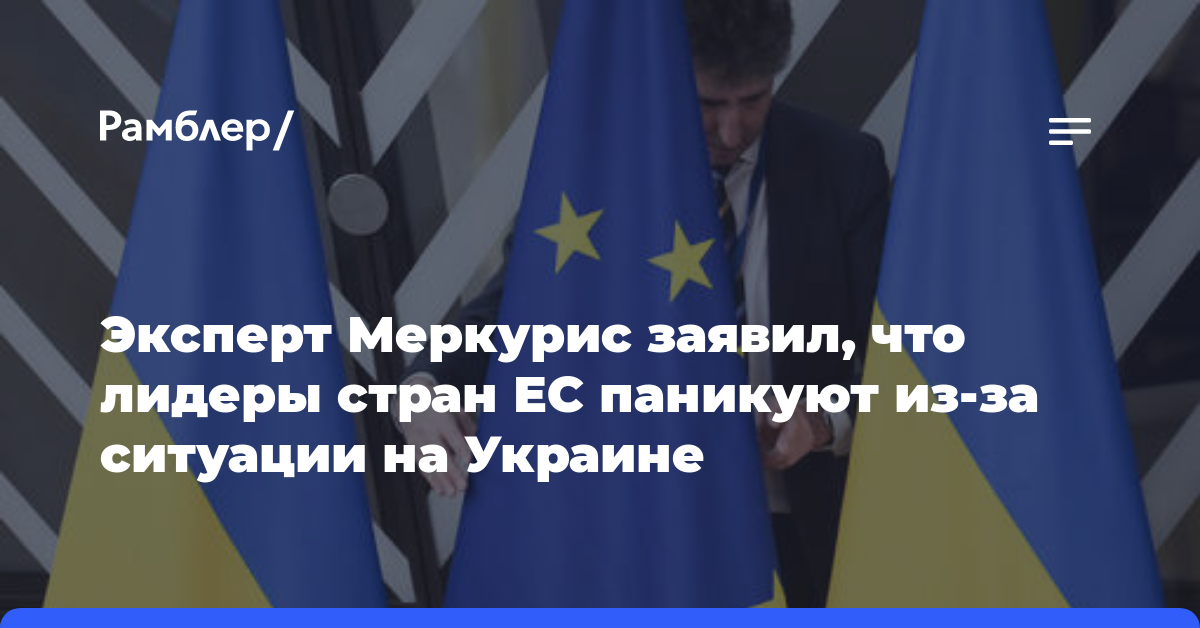 Эксперт Меркурис заявил, что лидеры стран ЕС паникуют из-за ситуации на Украине
