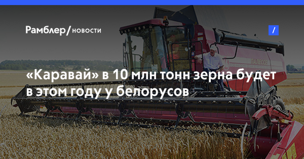 «Каравай» в 10 млн тонн зерна будет в этом году у белорусов